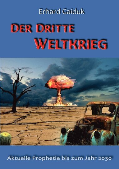 bokomslag Dritte Weltkrieg