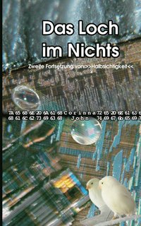 bokomslag Loch im Nichts