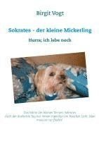 bokomslag Sokrates - der kleine Mickerling