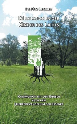 Jörg Berchem - Meditationen der Kinder des Lichts, Häftad