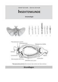bokomslag Insektenkunde