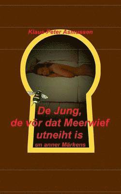 bokomslag De Jung, de vr dat Meerwief utneiht is