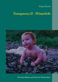 bokomslag Transparenz II - Winterlicht