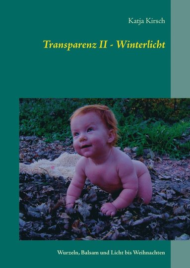 bokomslag Transparenz II - Winterlicht