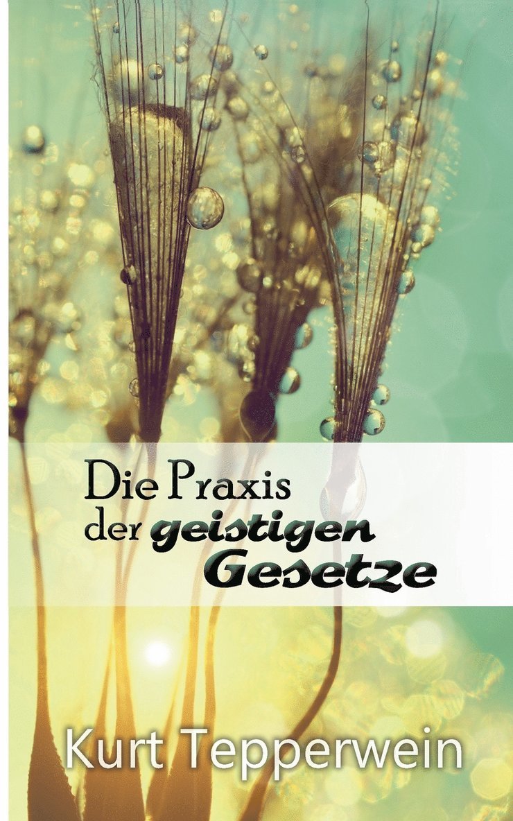 Kurt Tepperwein - Praxis der geistigen Gesetze, Häftad