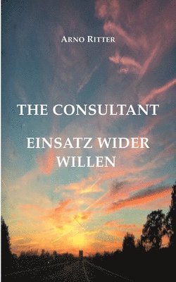 The Consultant 1