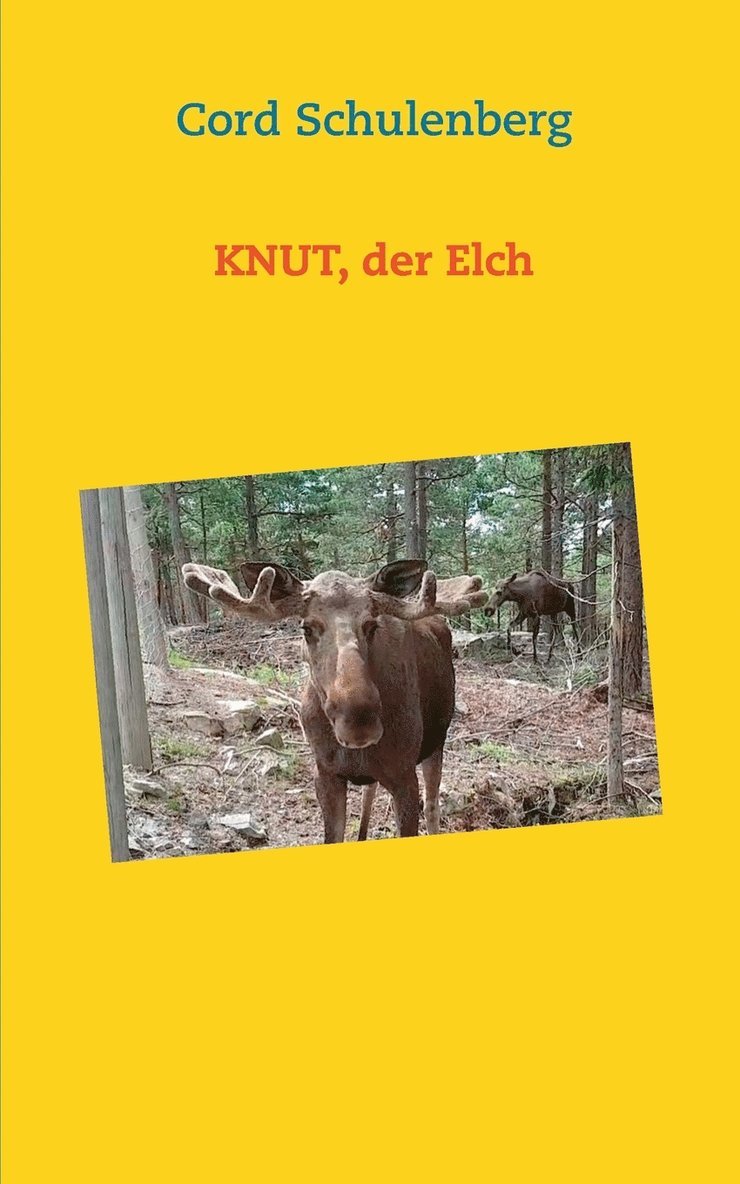 Knut, der Elch 1