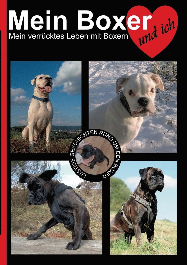 Sabine Hauer - Mein Boxer und ich, Häftad