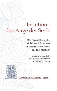 bokomslag Intuition - das Auge der Seele: Die Darstellung des intuitiven Erkennens im schriftlichen Werk Rudolf Steiners