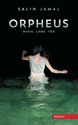 bokomslag Orpheus