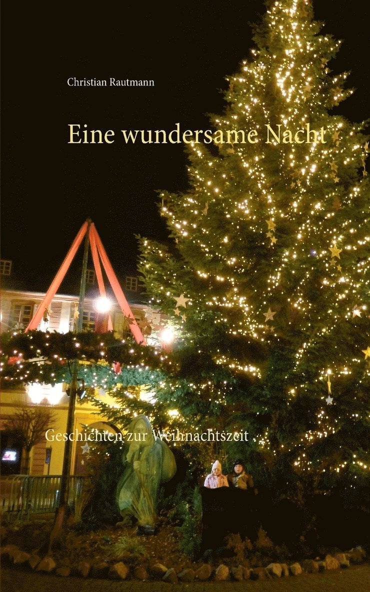 Christian Rautmann - Eine wundersame Nacht, Häftad