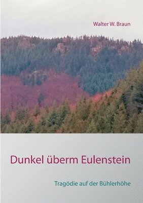 bokomslag Dunkel berm Eulenstein