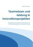 bokomslag Teamwissen und -leistung in Innovationsprojekten