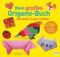 bokomslag Mein großes Origami-Buch (mit kindgerechten Schritt-für-Schritt Anleitungen, 100 Blatt und 130 Stickern))