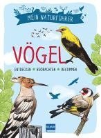 bokomslag Mein Naturführer - Vögel