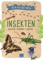 bokomslag Mein Naturführer - Insekten