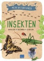 Mein Naturführer - Insekten 1