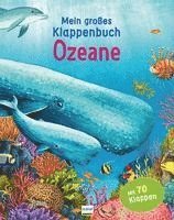 bokomslag Mein großes Klappenbuch - Ozeane