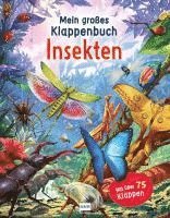 bokomslag Mein großes Klappenbuch - Insekten