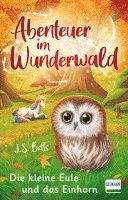 Abenteuer im Wunderwald - Die kleine Eule und das Einhorn 1