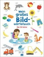 bokomslag Mein großes Bildwörterbuch