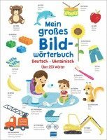 bokomslag Mein großes Bildwörterbuch