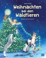 bokomslag Weihnachten bei den Waldtieren