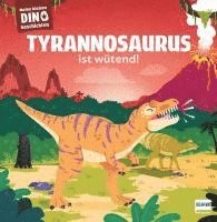 bokomslag Meine kleinen Dinogeschichten - Tyrannosaurus ist wütend
