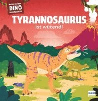 bokomslag Meine kleinen Dinogeschichten - Tyrannosaurus ist wütend