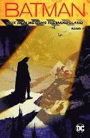 bokomslag Batman 01: Auf dem Weg ins Niemandsland