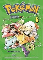 bokomslag Pokémon: Die ersten Abenteuer 06