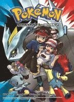 bokomslag Pokémon Schwarz 2 und Weiss 2