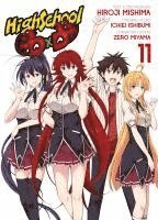 bokomslag HighSchool DxD