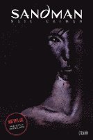 Neil Gaiman, Gary Amaro, Vince Locke, Dick Giordano, Mark Buckinhgam, Tony Harris, Steve Leialoha, Jill Thompson, P. Craig Russell, Alec Preston Stevens, Bryan Talbot, John Watkiss, Michael Zulli, Michael Allred, Shea Anton Pensa - Sandman Deluxe, Inbunden