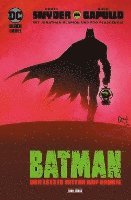 bokomslag Batman: Der letzte Ritter auf Erden