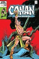 bokomslag Conan der Barbar: Classic Collection