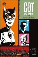 bokomslag Catwoman von Ed Brubaker