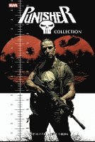 bokomslag Punisher Collection von Garth Ennis