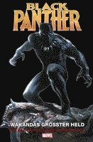 bokomslag Black Panther Anthologie