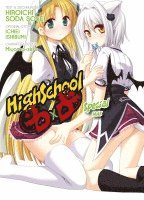 bokomslag HighSchool DxD - Special Max-Edition