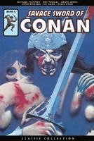 bokomslag Savage Sword of Conan: Classic Collection