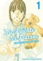 bokomslag Die Früchte der Platane - Ein Kinderarzt mit Herz 01