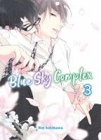 bokomslag Blue Sky Complex 03