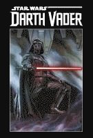 bokomslag Star Wars Comics: Darth Vader Deluxe