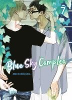 Blue Sky Complex 07 1