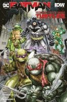bokomslag Batman/Teenage Mutant Ninja Turtles