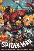 bokomslag Spider-Man Collection von David Michelinie & Erik Larsen