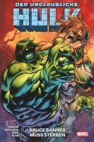 Der unglaubliche Hulk 1