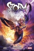 bokomslag Storm