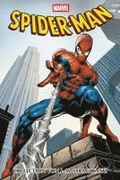 J. Michael Straczynski, Peter David, Mike Deodato Jr., Reginald Hudlin, Joe Quesada, Ron Garney, Tyler Kirkham, Pat Lee, Mike Wieringo - Spider-Man Collection von J.M. Straczynski, Inbunden